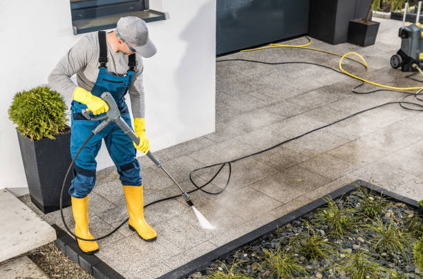 Best Power Washing Near Me  in Cayuga, IN